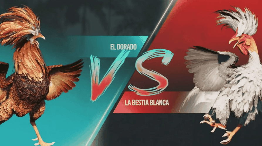 samsungpg login cassino jogos